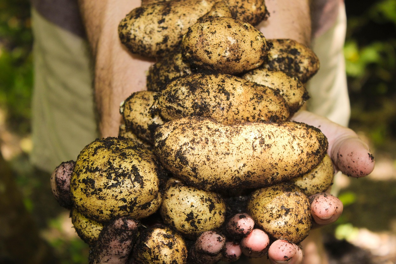 Seasonal produce information.